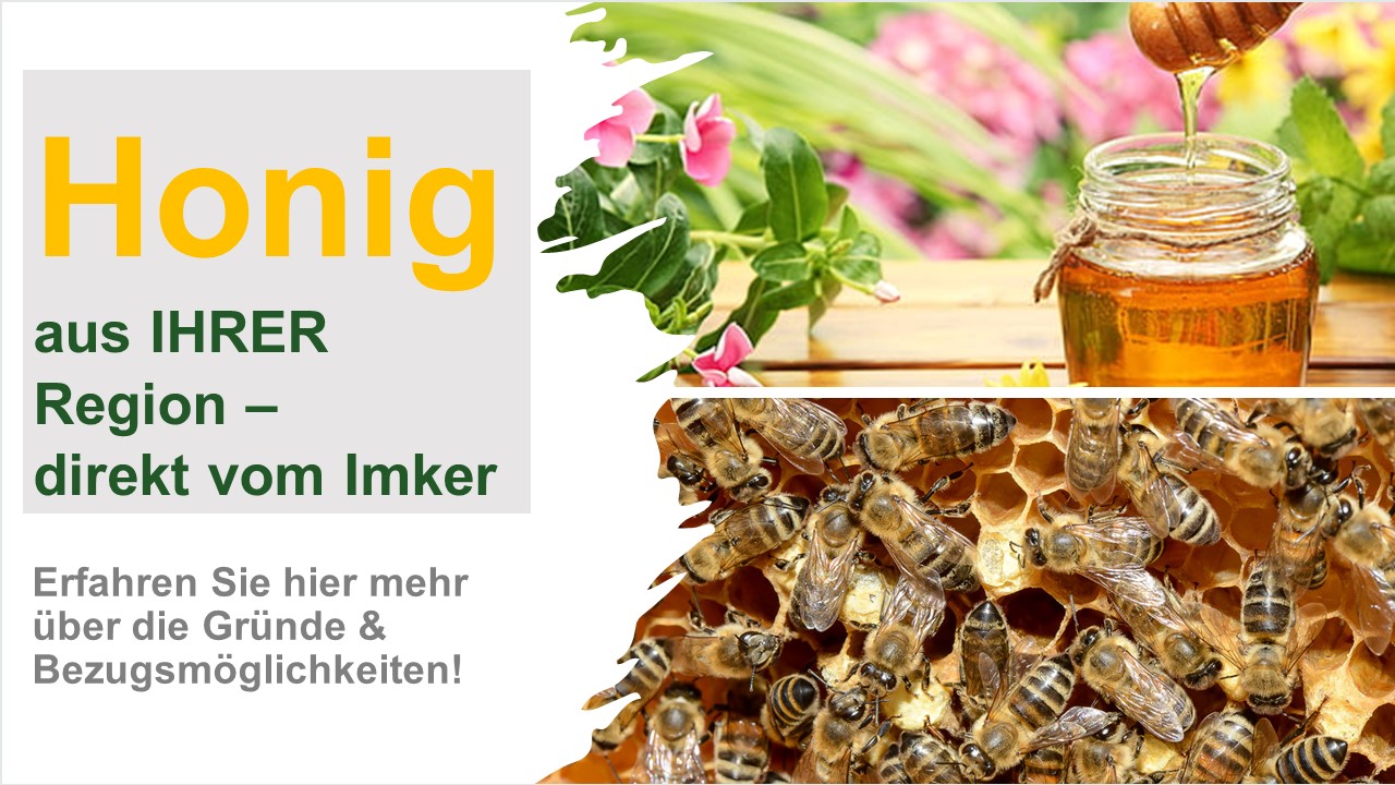 Honig aus der Region Witten Wetter